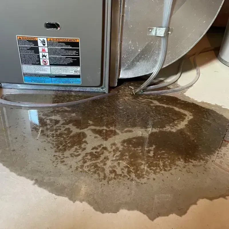 Appliance Leak Cleanup in Hot Spring County, AR